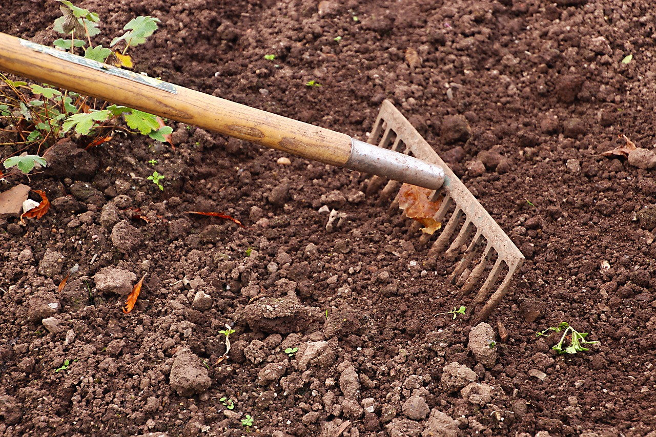 rake, gardening, garden-2915742.jpg